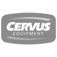 cervus